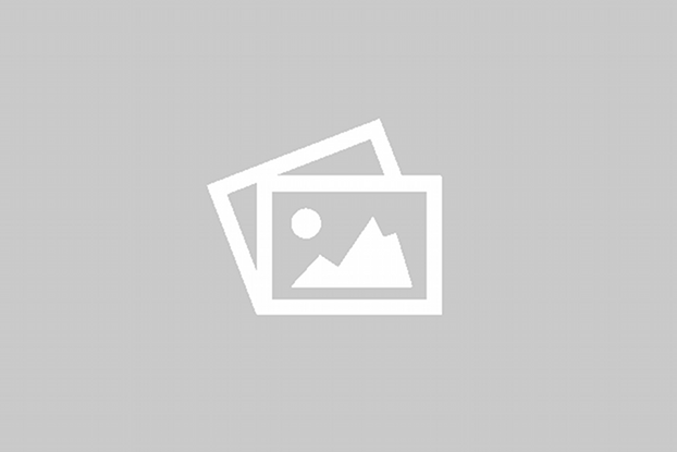 Birds and Botanicals Greeting Cards